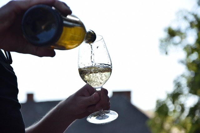 Platzhalter Weinprojekt